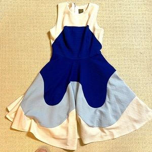 Taylor Fit & Flare Sleeveless Dress Size 2